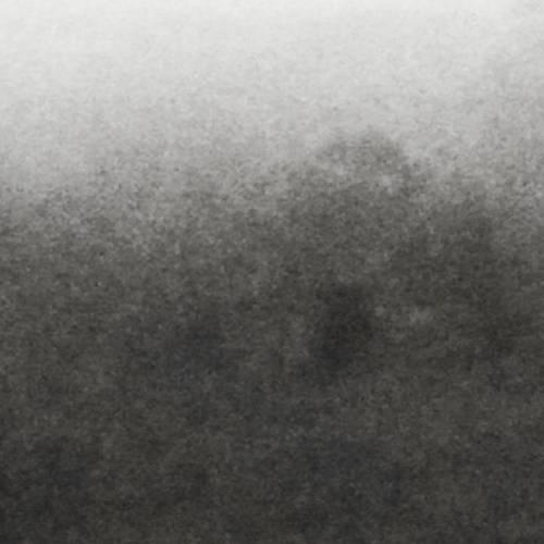 Bruits de Chênes & d'Ossements